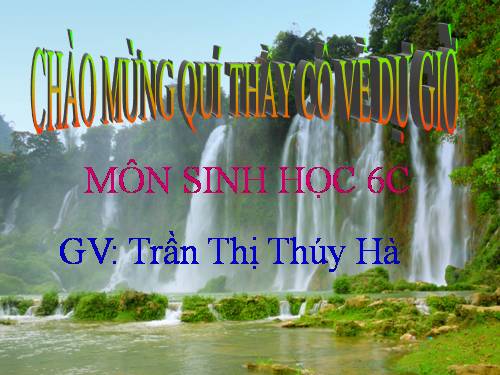 Bài 49. Bảo vệ sự đa dạng của thực vật