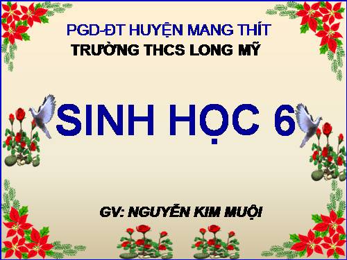 Bài 38. Rêu - Cây rêu