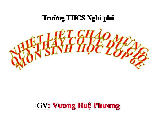 Bài 47. Thực vật bảo vệ đất và nguồn nước