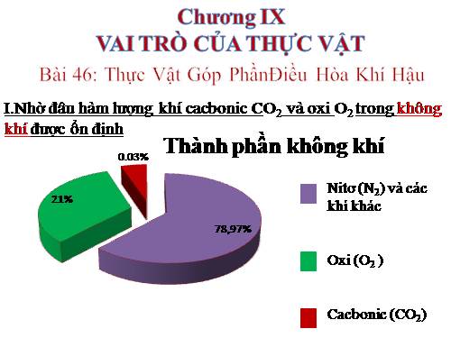 Bài 46. Thực vật góp phần điều hoà khí hậu