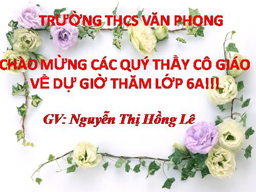 Bài 46. Thực vật góp phần điều hoà khí hậu