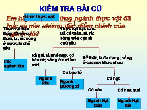 Bài 44. Sự phát triển của giới Thực vật