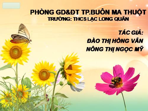 Bài 28. Cấu tạo và chức năng của hoa