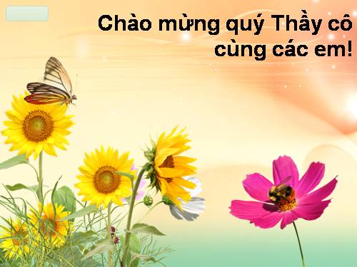 Bài 28. Cấu tạo và chức năng của hoa