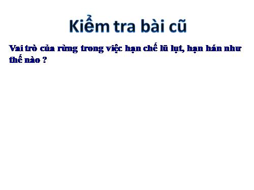 Bài 48. Vai trò của thực vật đối với động vật và đối với đời sống con người