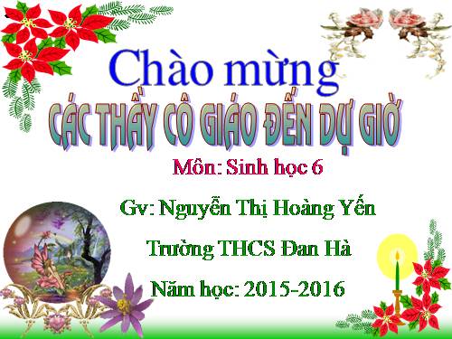 Bài 47. Thực vật bảo vệ đất và nguồn nước