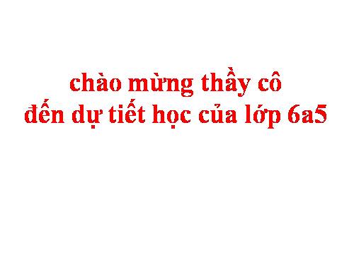 Bài 48. Vai trò của thực vật đối với động vật và đối với đời sống con người