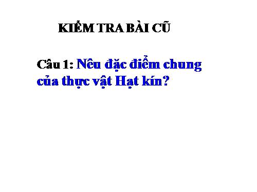 Bài 42. Lớp Hai lá mầm và lớp Một lá mầm