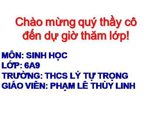 Bài 42. Lớp Hai lá mầm và lớp Một lá mầm