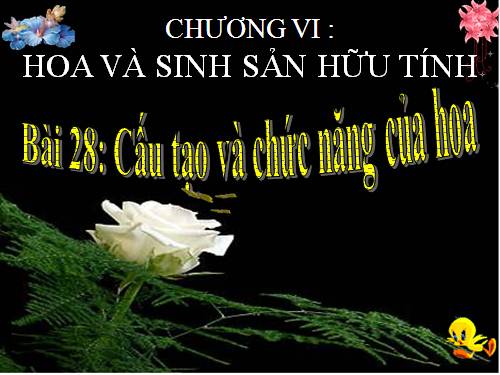 Bài 28. Cấu tạo và chức năng của hoa