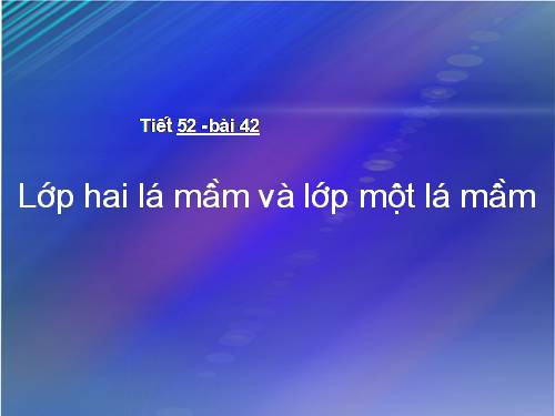 Bài 42. Lớp Hai lá mầm và lớp Một lá mầm