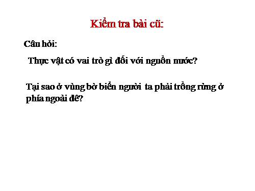 Bài 48. Vai trò của thực vật đối với động vật và đối với đời sống con người