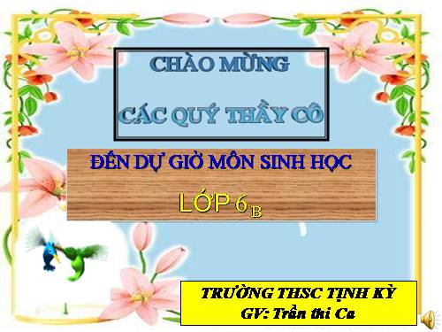 Bài 34. Phát tán của quả và hạt