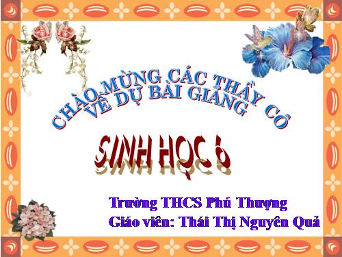 Bài 33. Hạt và các bộ phận của hạt