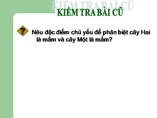 Bài 34. Phát tán của quả và hạt