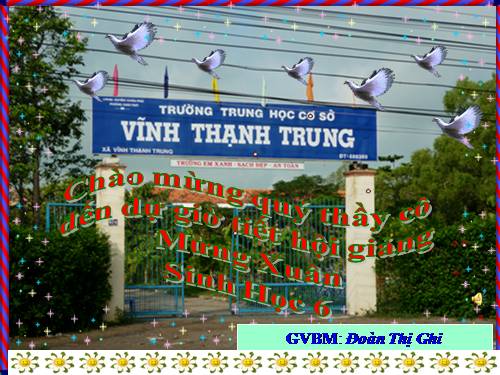 Bài 39. Quyết - Cây dương xỉ