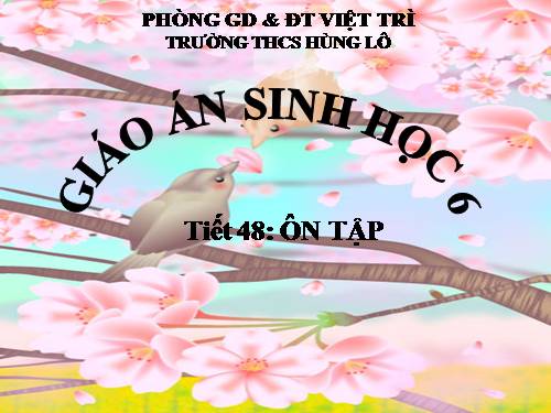 tiết 48: ôn tập