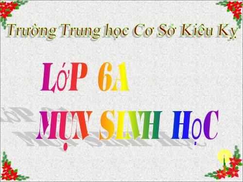 Bài 39. Quyết - Cây dương xỉ