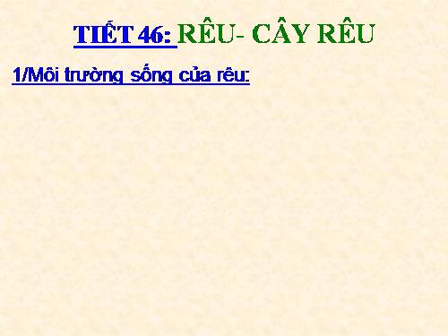 Bài 38. Rêu - Cây rêu