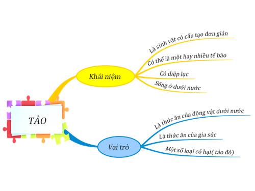 Bài 37. Tảo