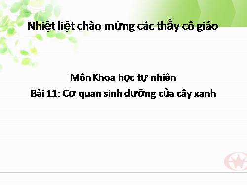 Bài 13. Cấu tạo ngoài của thân