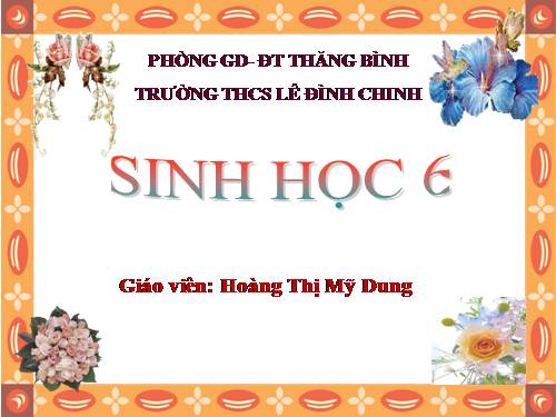 Bài 33. Hạt và các bộ phận của hạt