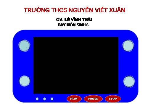 Bài 16. Thân to ra do đâu ?