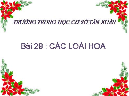 Bài 29. Các loại hoa