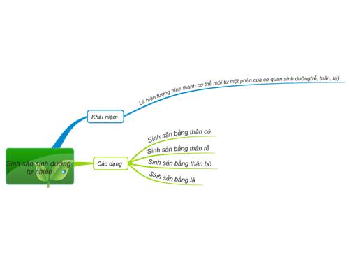 Bài 26. Sinh sản sinh dưỡng tự nhiên