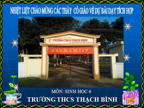 Bài 47. Thực vật bảo vệ đất và nguồn nước