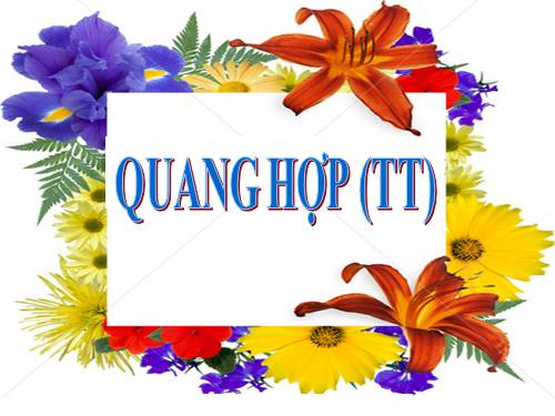 Bài 21. Quang hợp