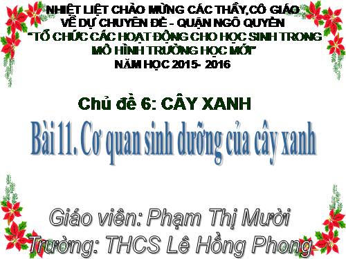 cơ quan sinh dưỡng của cây xanh- vnen