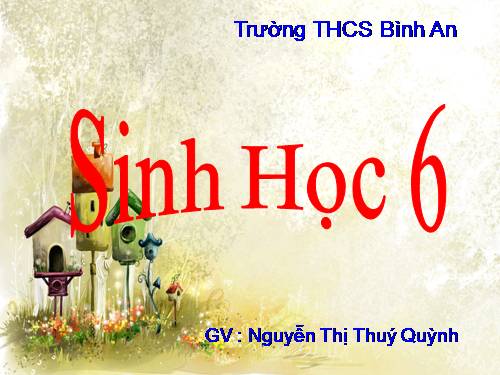 Bài 18. Biến dạng của thân