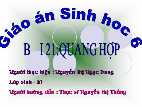 Bài 21. Quang hợp