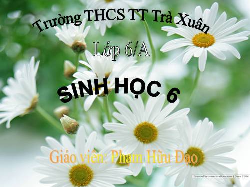 Bài 27. Sinh sản sinh dưỡng do người