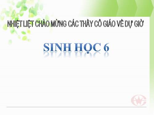 Bài 19. Đặc điểm bên ngoài của lá