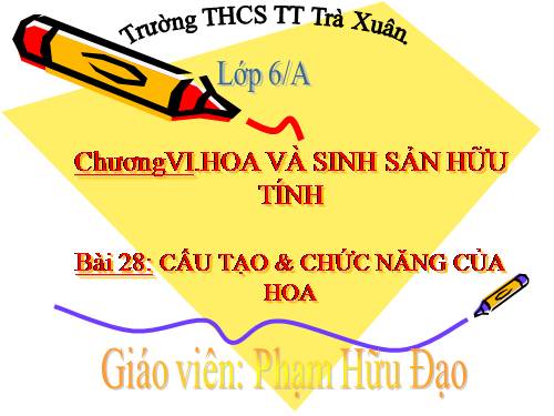 Bài 28. Cấu tạo và chức năng của hoa