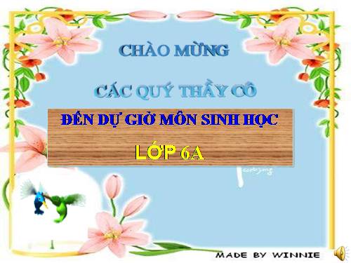 Bài 27. Sinh sản sinh dưỡng do người