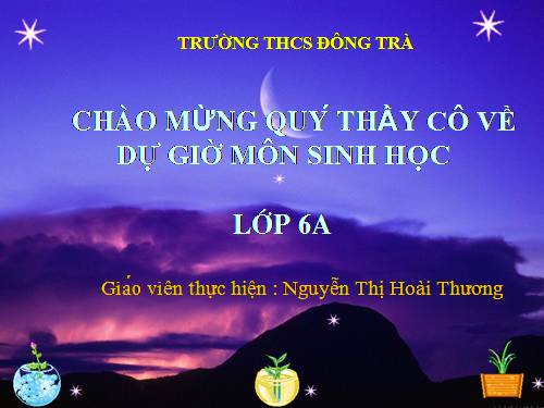 Bài 12. Biến dạng của rễ