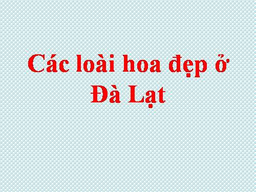 Bài 29. Các loại hoa