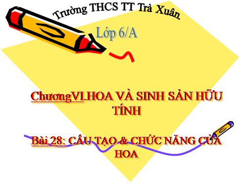 Bài 28. Cấu tạo và chức năng của hoa