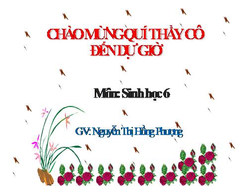 Bài 23. Cây có hô hấp không?