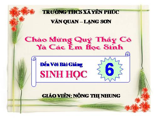 Bài 22. Ảnh hưởng của các điều kiện bên ngoài đến quang hợp, ý nghĩa của quang hợp