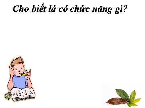 Bài 25. Biến dạng của lá