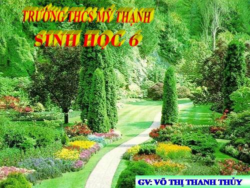 Bài 46. Thực vật góp phần điều hoà khí hậu