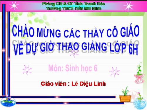 Bài 25. Biến dạng của lá
