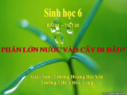 Bài 24. Phần lớn nước vào cây đi đâu?