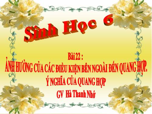 Bài 22. Ảnh hưởng của các điều kiện bên ngoài đến quang hợp, ý nghĩa của quang hợp