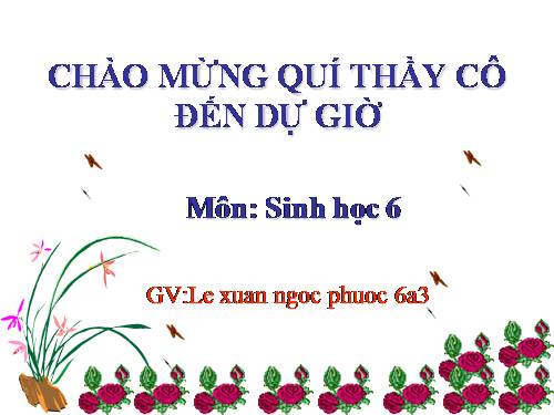 Bài 23. Cây có hô hấp không?