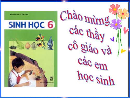 Bài 23. Cây có hô hấp không?